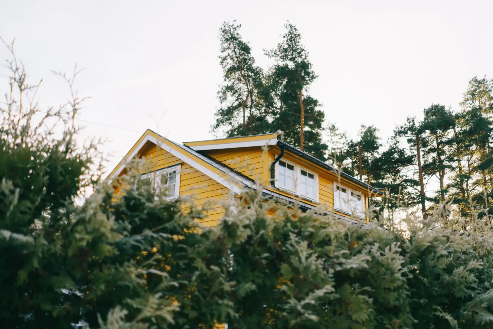 A shingled Pacific Northwest home surrounded by evergreen trees